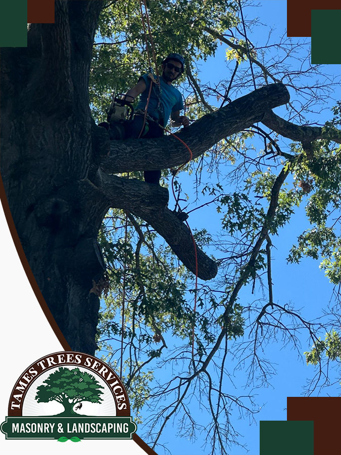 TRE CONTRACTOR IN NJ